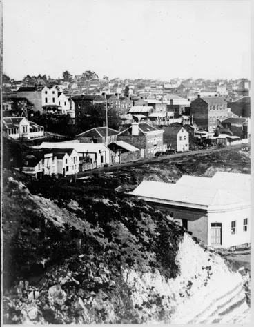 Image: Auckland from Point Britomart, 1875