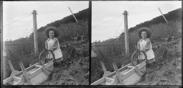 Image: Unidentified young child [Edwin or Owen Williams?] playing with the wheel of an upturned wheelbarrow, Kew, Dunedin