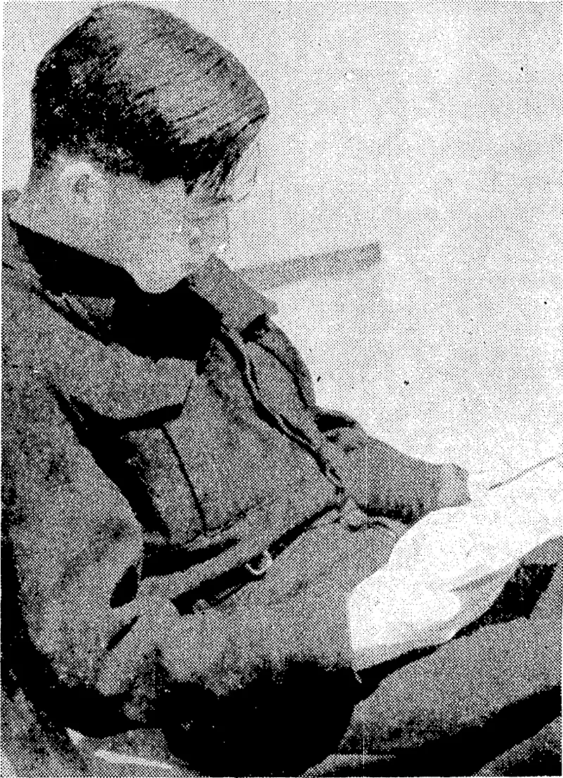 A Japanese officer reads "The Peace ivith Japan," a booklet supplied by the International Red Cross. A former University student, he speaks- good English. (Evening Post, 27 December 1945)
