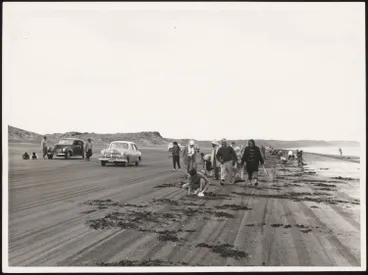 Image: Digging for toheroa at Muriwai Beach, 1962