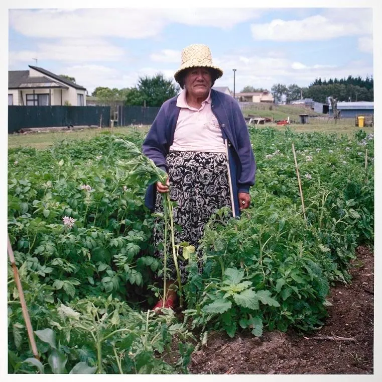 River / Road An Ecological Journey,
