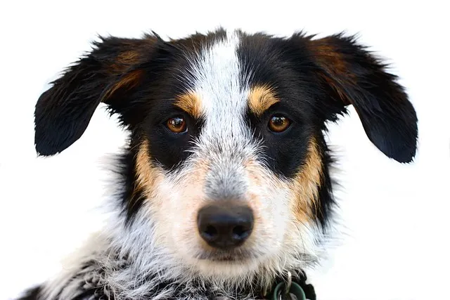 Riff Raff - Just Washed