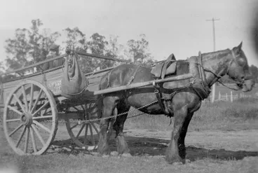 Image: E Woodward Carrier.