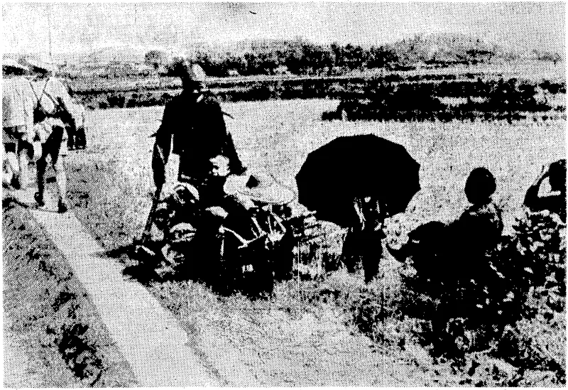 A Chinese family resting by the wayside near Changsha. Crops and homes have been destroyed by the Japanese, and whole families have been compelled to flee. The wheelbarrow contains till their hdusihold goods, and the baby• dfthe familyxfindsaptaee. (Evening Post, 17 February 1942)