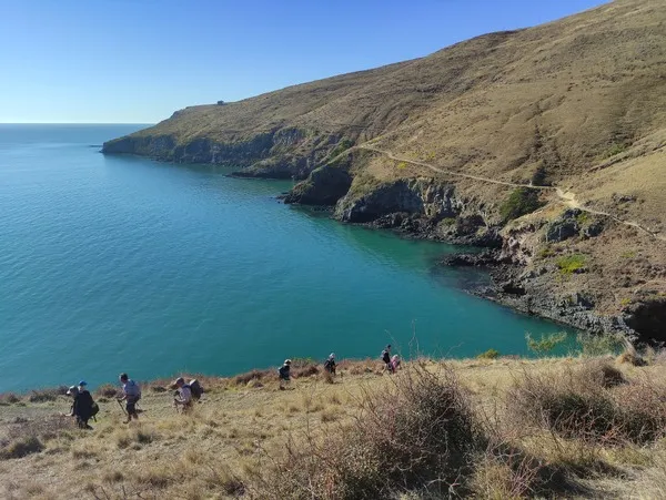 Walking the Awaroa-Godley Head Loop Track