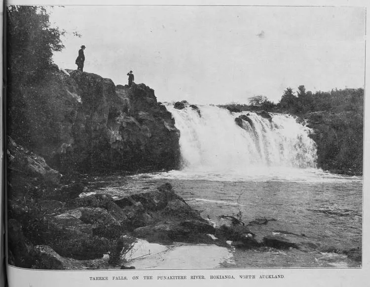 Taheke falls on the Punakitere River, Hokianga