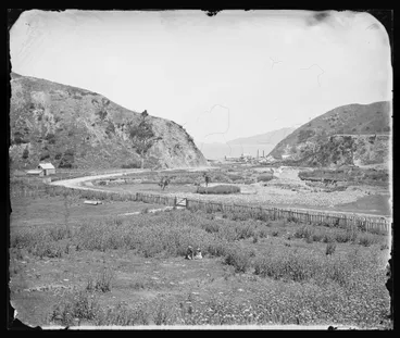 Image: Ngauranga Gorge