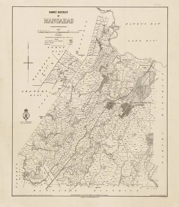 Survey District of Mangahao [electronic resource] / drawn by H.McCardell, February 1890.