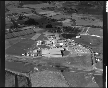 Image: Te Puke Freezing Works, (Rangiuru AFFCO)