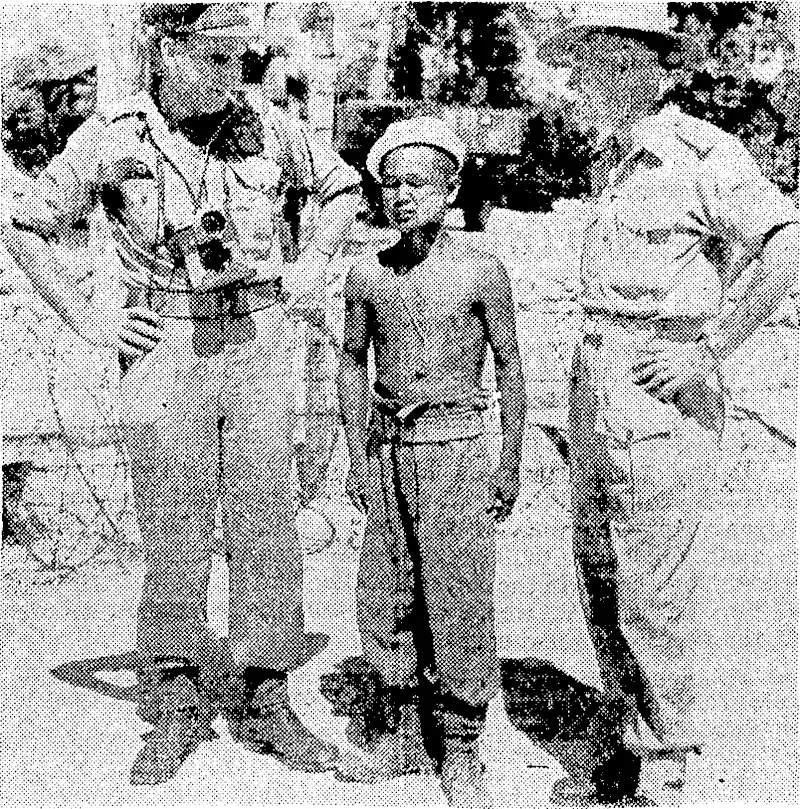 answers to the name of "Mickey Mouse"—the smallest, Japanese. prisoner in. the Australian war compound at Morolai Island, in the Faisl Indian Archipelago. lie was captured at. Tarak.au while, a member of a Japanese commando unit, (Evening Post, 12 September 1945)
