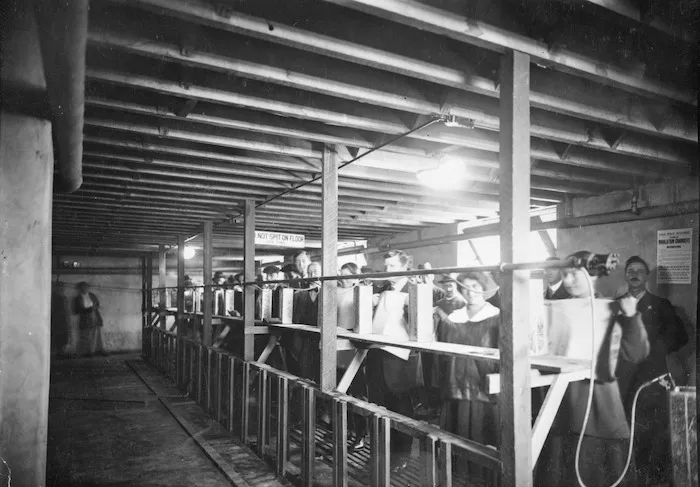People inside an inhalation chamber in Christchurch