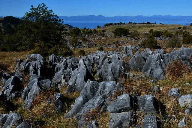 Ngarua Caves, Takaka Hill, Tasman