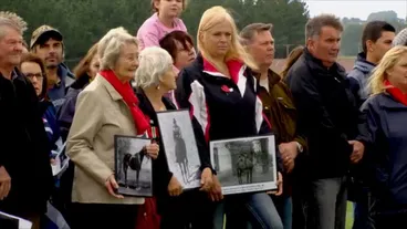 Image: Great War Stories: Bess, war horse