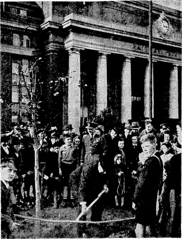 Image: The Governor-General, Sir Cyril Newall, was present at the Arbor Day tree-planting at the railway station yesterday, and planted the first of four English oaks in front of the station. Sir Cyril is watching Councillor W. Duncan, {chairman of the Wellington City Council's Parks and Reserves Committee, planting an oak tree in memory of the late Councillor L. McKenzie. (Evening Post, 05 August 1943)