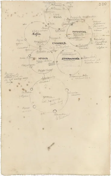 Image: Swainson, William, 1789-1855 :[Quinarian diagram showing relationships of Unionina (molluscs). ca 1820?]