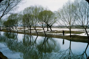 Image: China Series: Peking Arriving Spring