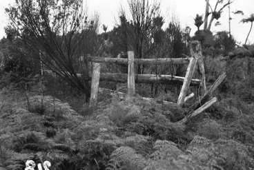 Image: Remains of stockyards, Cascade Kauri Park, Waitakere Ranges.