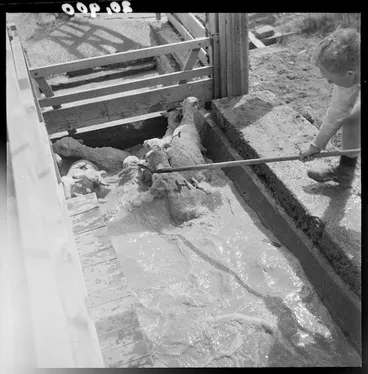 Image: Sheep being dipped at Grasmere Station, near Cass, Canterbury