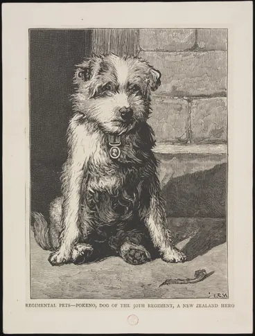 Image: Print - Regimental Pets