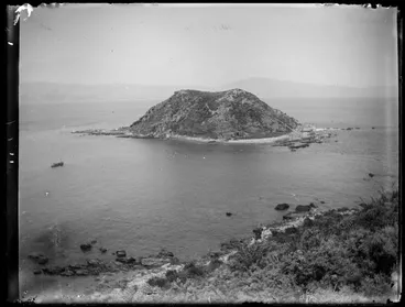 Image: Rauparaha's Island from the top of Hiko's Island