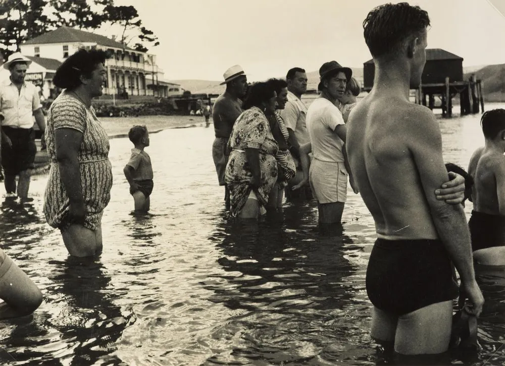 Dolphin Daze, Opononi