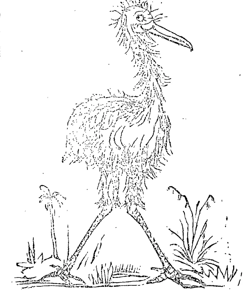 THE MOA ! THE GIG-ANTIC DINOBNIS !  The Monster of the Woods; 14 feet high; all alive!  NOW ON VIEW IK A TENT NEAR THE DOCK !  Admission���Sixpence ! (Observer, 08 July 1882)