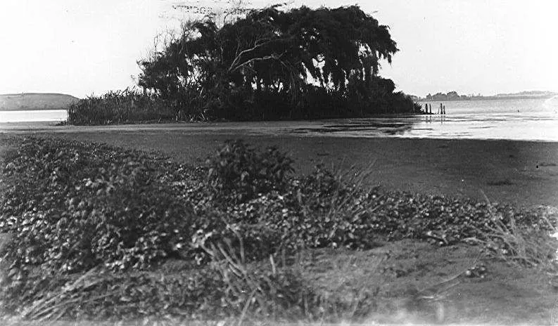 Waipata artificial island, Lake Horowhenua