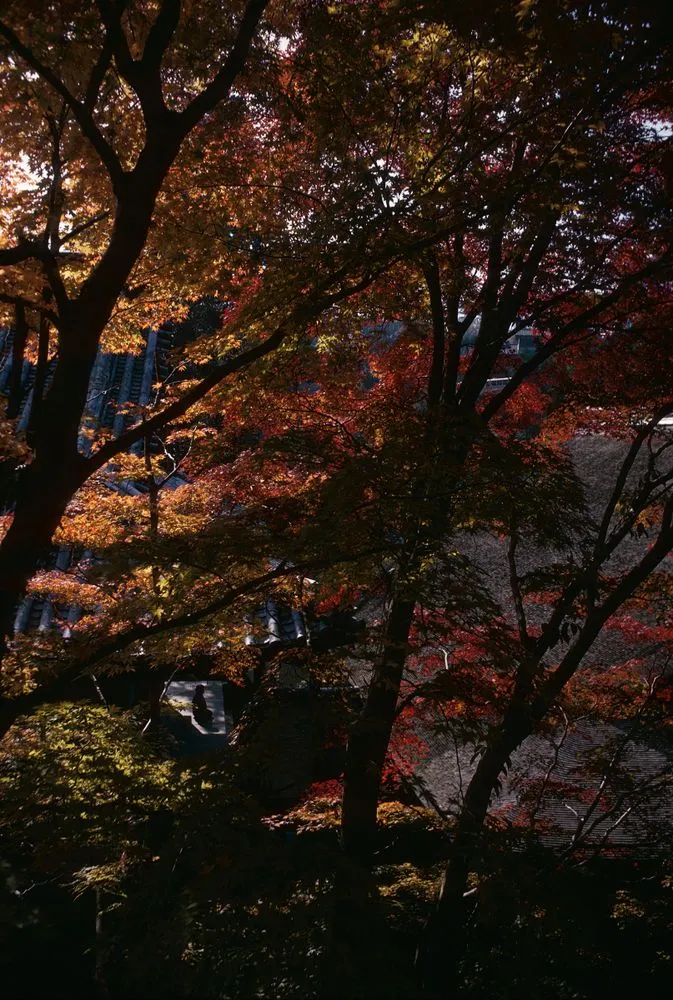 Japan series: Jingi-ji, Kyoto
