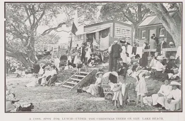 Image: A cool spot for lunch under the Christmas tree on the Lake beach