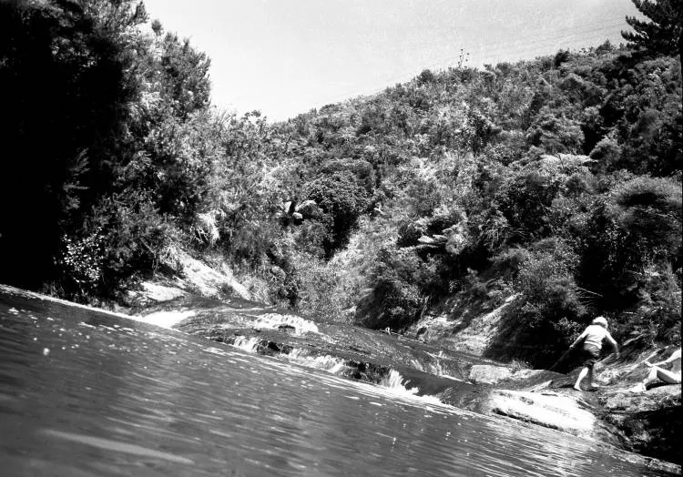 Head tidal waters of Swanson's Creek.