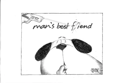 Image: Man's best fiend [friend]. 8 May 2009
