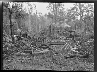 Image: Unidentified men operating a steam engine driven winch and a locomotive steam train, while tree felling, Kakahi, Manawatu-Whanganui