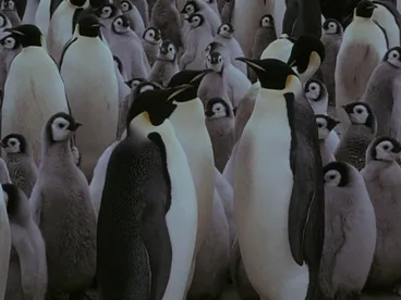 Image: One Hundred and Forty Days Under the World