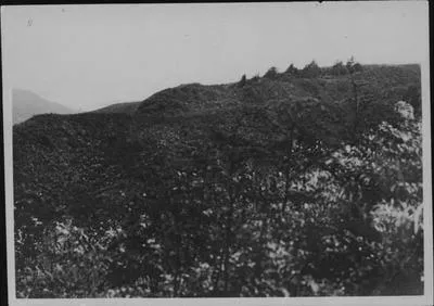 Pa site, main pa at Ohaeawai.