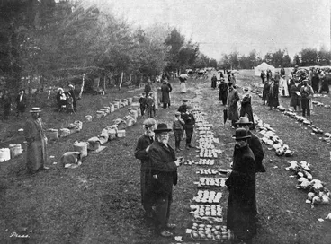 Image: The root and seed exhibits