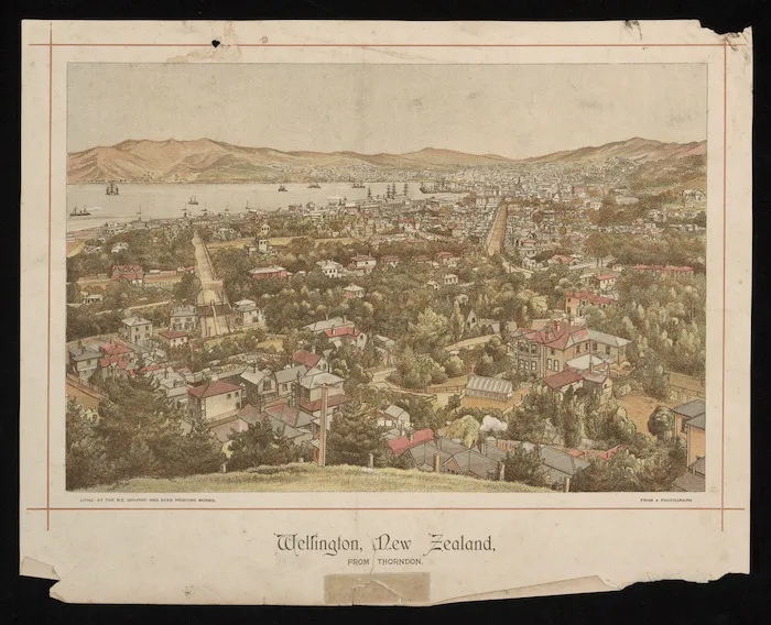 Artist unknown :Wellington, New Zealand, from Thorndon. Litho. at the N.Z. Graphic and Star Printing Works, from a photograph [1894]