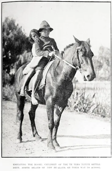 Image: Educating the Maori: children of the Te Teko native settlement, North Island of New Zealand, on their way to school