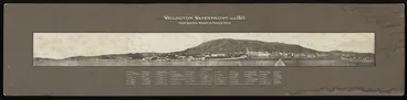 Image: Creator unknown: Panoramic view of Wellington taken by William Henry Whitmore Davis