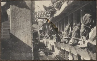 Image: Horses stabled on the troop transport "Knight Templar" (HMNZT 22).