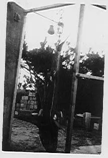 Shark Caught at Foxton Beach