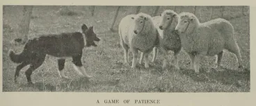 Image: A game of patience