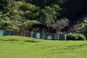 Image: Kakapo Bay, Port Underwood, Marlborough