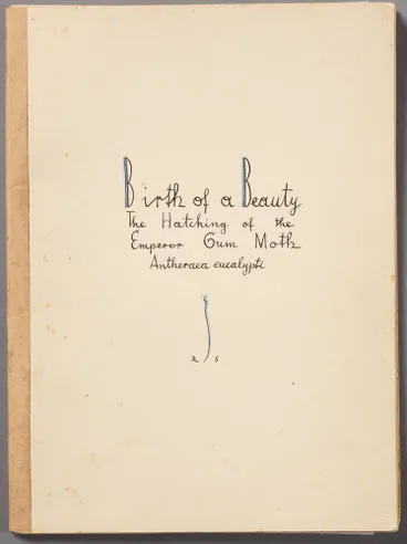 Image: Birth of a Beauty: The Hatching of the Emperor Gum Moth Antheraea eucalypti