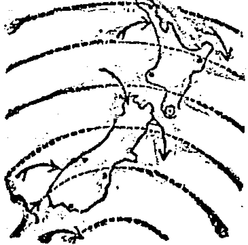 Untitled Illustration (Evening Post, 17 December 1915)