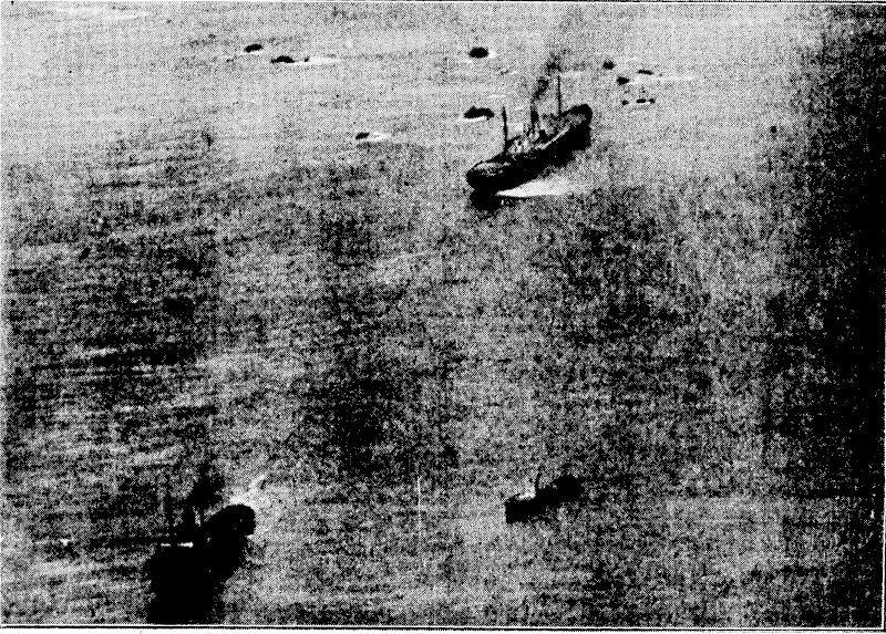Evening – Post" i*hotoi THE STRANDED STEAMER FROM THE AIR.—An aerial view of the Golden Harvest, with one of the attendant salvage tugs which have been attempting to pull her off Barrett's Reef. This photograph was taken this morning by. an "Evening Post" representative from an aeroplane, piloted by Mr. A. WfNisbet, secretary of the Wellington Aero Club. ' : : • ■ • , (Evening Post, 31 May 1933)