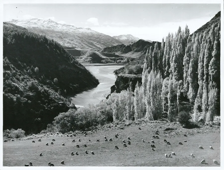 Otago Province - Shotover River