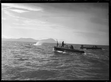 Image: Whaling in the Tory Channel