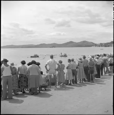 Image: Crowd at Opononi