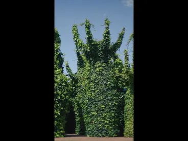 Image: The Surrealist Garden at Hamilton Gardens, New Zealand ✨ #IfYouSeekNZ