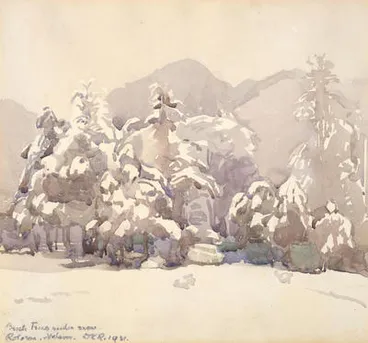 Image: Beech trees under snow, Rotoroa, Nelson